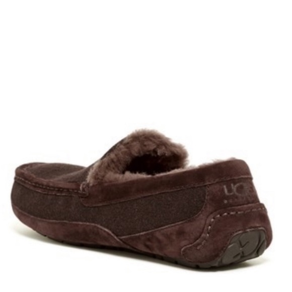 UGG Ascot Wool Slipper NEW - Picture 2 of 7